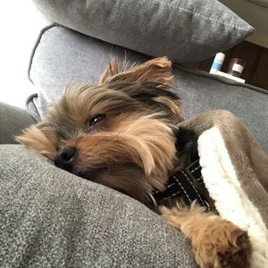 Meet your Posher, Gabriela